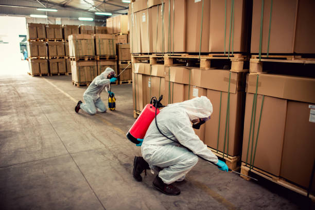Best Mosquito Control Services  in North Plainfield, NJ