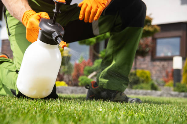 Best Local Pest Control Services  in North Plainfield, NJ