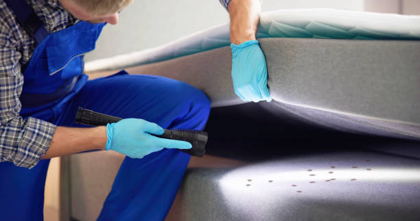 Best Residential Pest Control  in North Plainfield, NJ